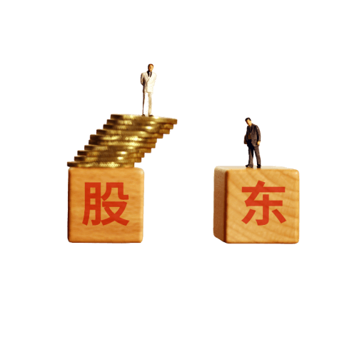 公司股东信息查询